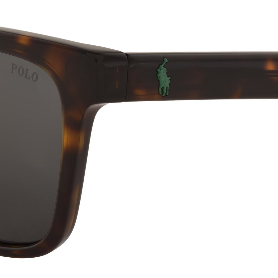 Alternative Image for ProductRalph Lauren Polo Player Sunglasses Brown3